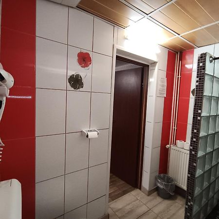 Pensiunea Johanna Arad Kültér fotó